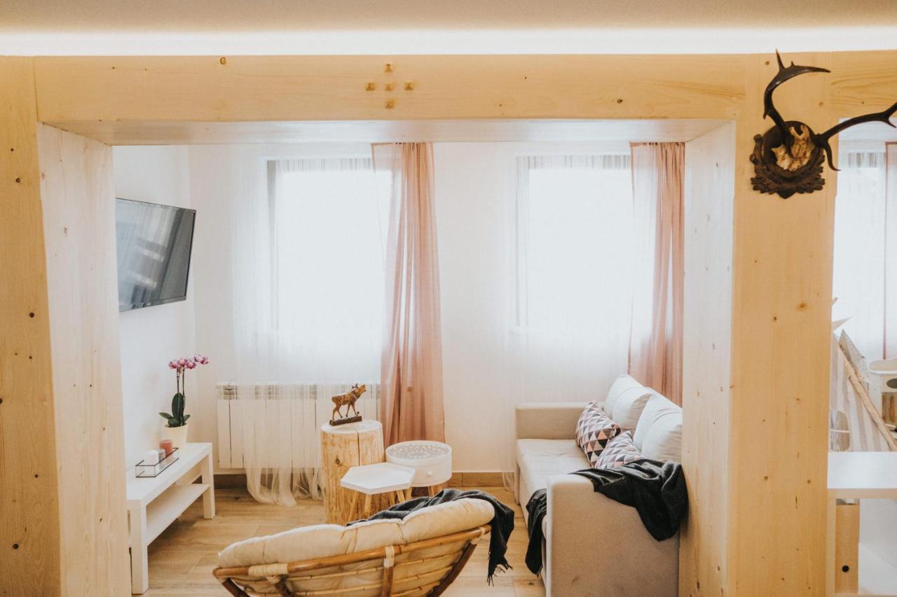 Villa Banska W Poblizu Goracego Potoku I Term, Rabaty Na Kapieliska Banska Nizna エクステリア 写真